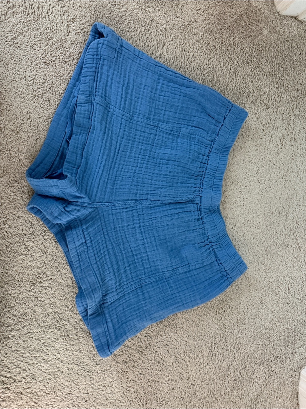 Z Supply Blue Gauze Athletic Shorts